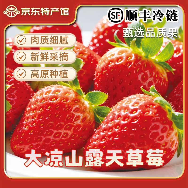 ɽ ²ݮ ¶ݮ 2.5װ 12g+