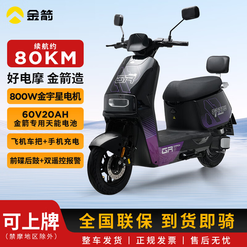 金箭天路RZ300长续航电动摩托车高弹座垫长续航舒适实用电动车 金属紫-前碟后鼓/800W电机 60V20AH铅酸电池