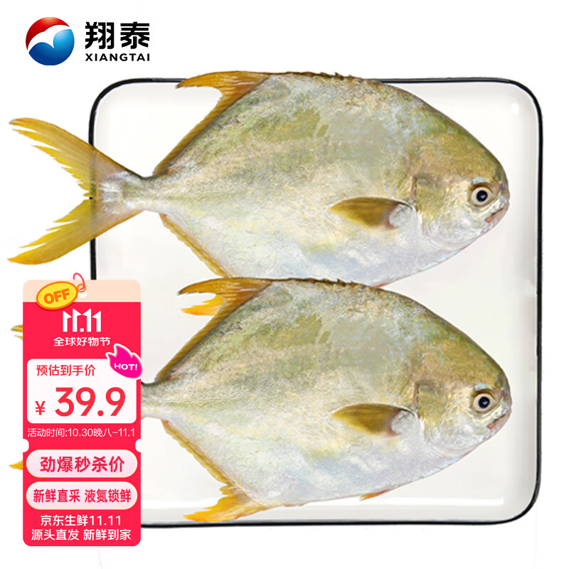 翔泰 海南金鲳鱼净重900g 2条装  鱼类生鲜 火锅食材 海鲜水产 