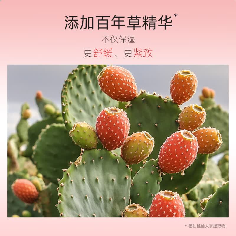 所望(SOMANG)牛奶身体乳液滋养保湿大白罐润肤乳持久留香补水香体乳 520礼物 【立享8.4折】百年草身体乳500ml*2