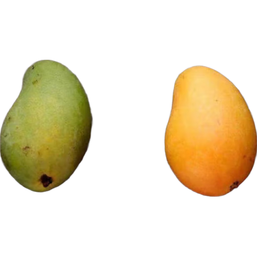 С̨ũâ������С̨â�����ز�ˮ��  ��΢��Ƥ��������� ̨â����1��50-70g 7.9Ԫ