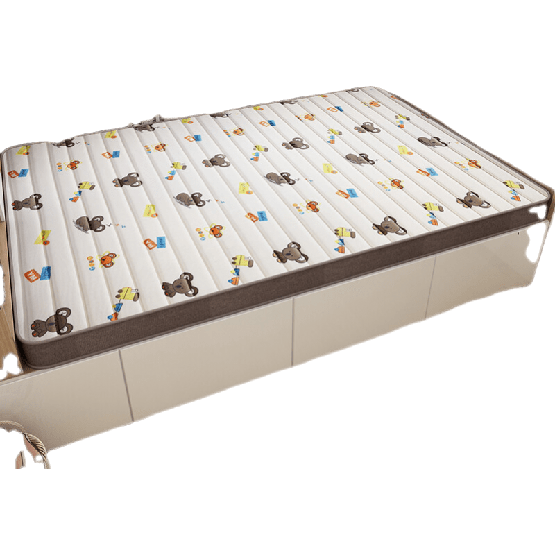 能见度 榻榻米床垫子定制任意尺寸可折叠塌塌米椰棕床垫订制异形定做 5厘米(维乐熊面料+3E椰棕)每平方