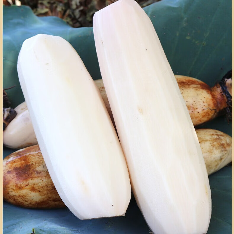 洪湖农家桂花蜜藕400克 莲藕 软糯香甜 真空熟食 糯米藕 桂花蜜藕  桂花蜜藕400克*2袋