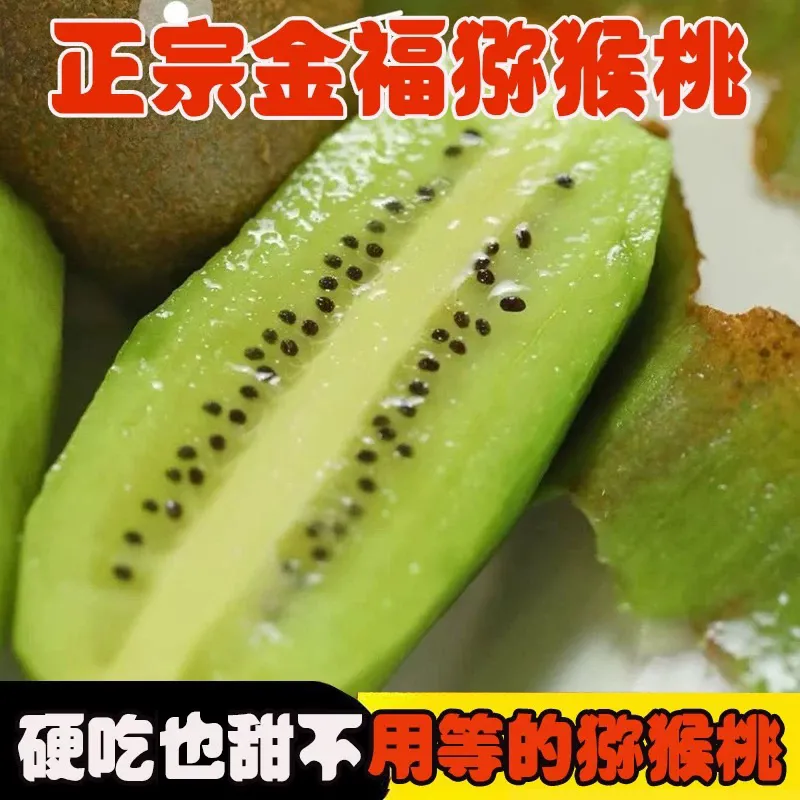 金福猕猴桃绿心猕猴桃应季孕妇当季水果奇异果精品新品种批发价 带箱3斤约22枚左右50-70克