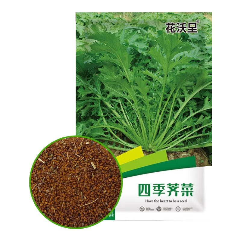 花沃里蔬菜种子大全耐热耐寒生菜菠菜豌豆尖香葱香菜樱桃萝卜鸡毛菜荠菜 荠菜种子约9.9g*3包共30g