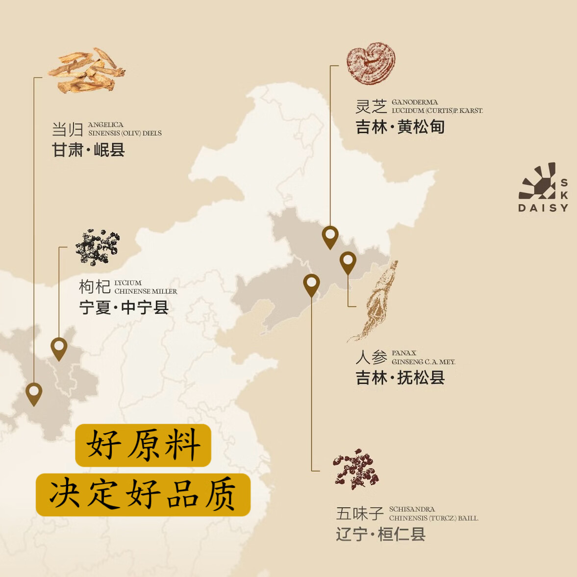 雏菊的天空琥珀时光眼部精华油眼油淡化细纹眼纹抗皱紧致提亮眼周送女友礼物 8ml