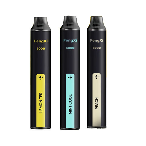 奉希辅助戒烟草本口气清新喷雾水果味可吸吐可充电一次性电子雾化棒 菠萝【8ml--5000口】