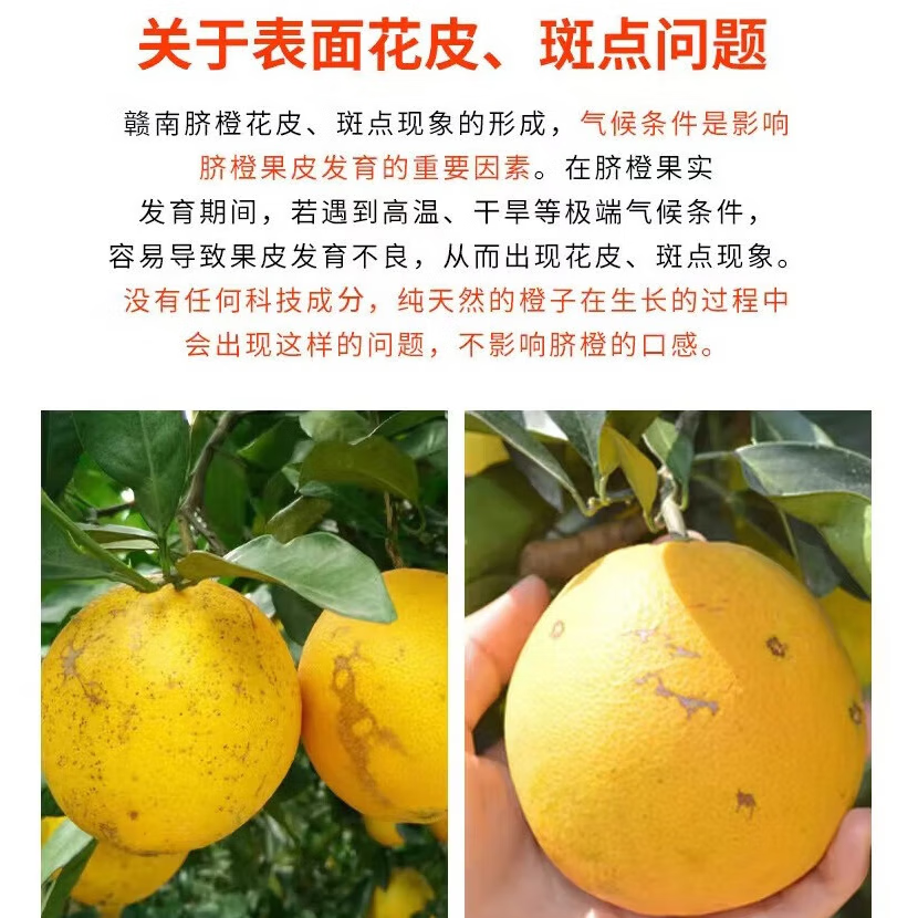 庾丰江西赣南脐橙新鲜橙子孕妇水果整箱年货送礼团购纽荷尔榨汁手剥橙 10斤装（净果9斤） 单果200g+