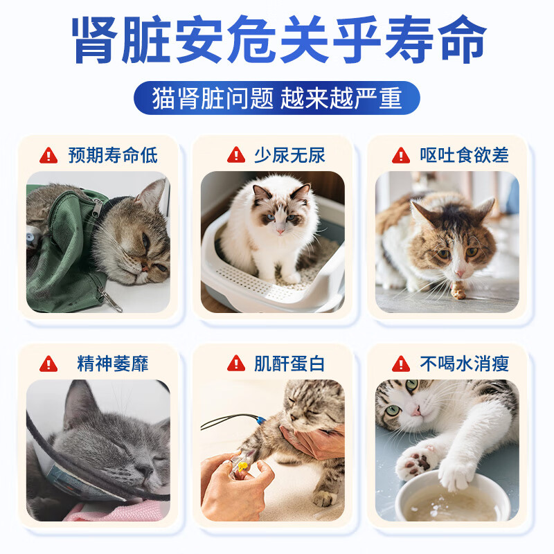 Spacex猫咪护肾肌酐尿蛋白肾小球肾脏营养补充剂胺肾宠物滤过功能衰降 【3支周期装】买2送1立省252元