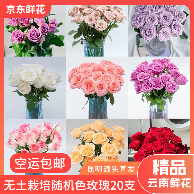 ʻõ廨Ʒֱˮײõɫ20֧װ 45CM Դͷֱ 19.9Ԫ