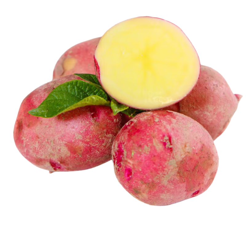 京鲜生【晚8买1赠1】内蒙火山红皮土豆净重5斤150g+源头直发