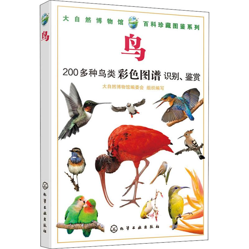 鸟