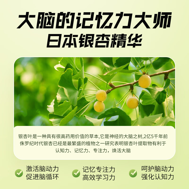 SUSUMOTOYA脑活素智慧的葆DHA银杏桑叶精华 单瓶装 30粒/瓶