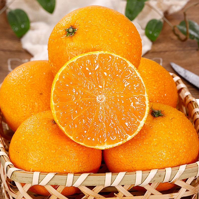 禾境风物 湖北秭归脐橙果冻橙4.5斤大果 单果75-85mm产地直发顺丰 象山蜜柑12粒礼盒装 单果100g+ 糖度11+