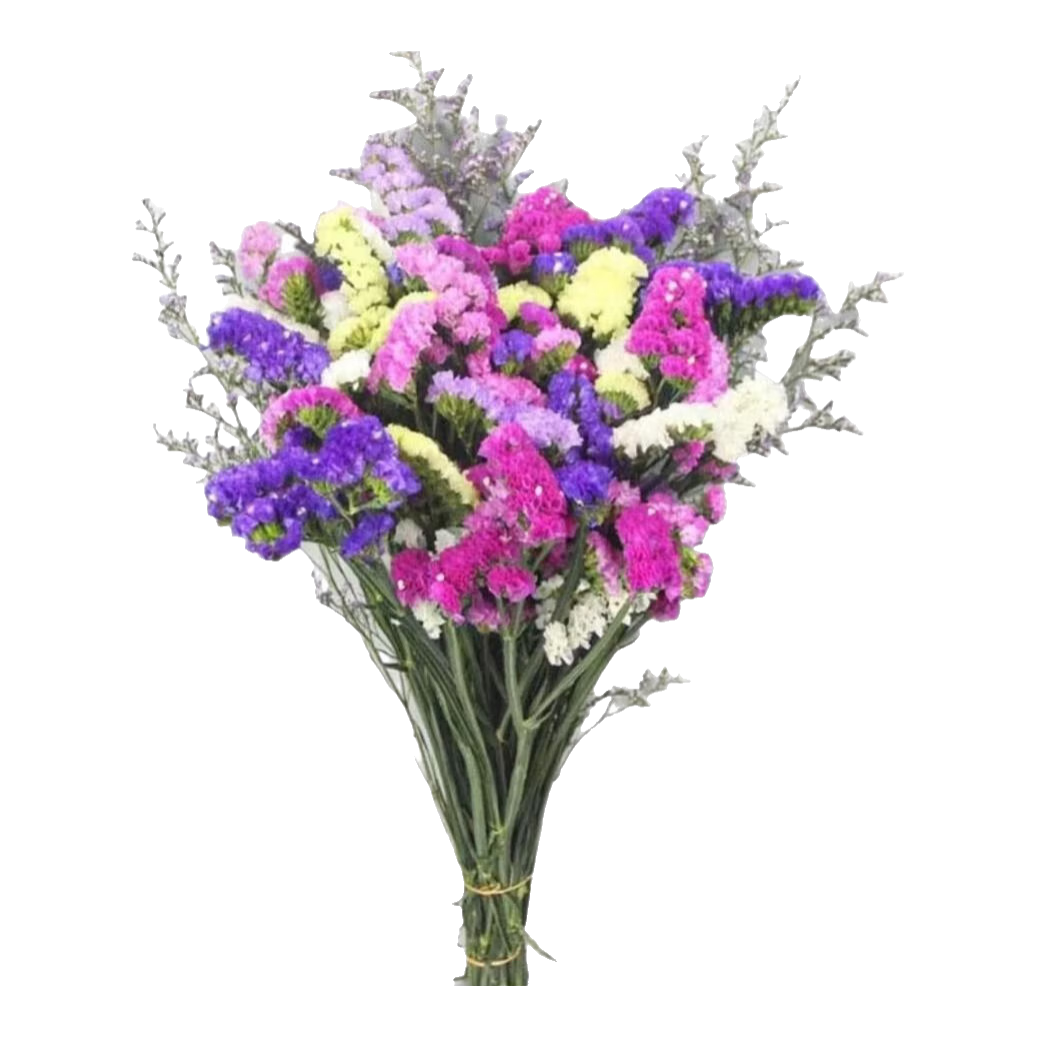 3.18�� ���������л� 2�� Լ400g 2-5����ɫ ���������廨�ڼ� ���� 11.99Ԫ