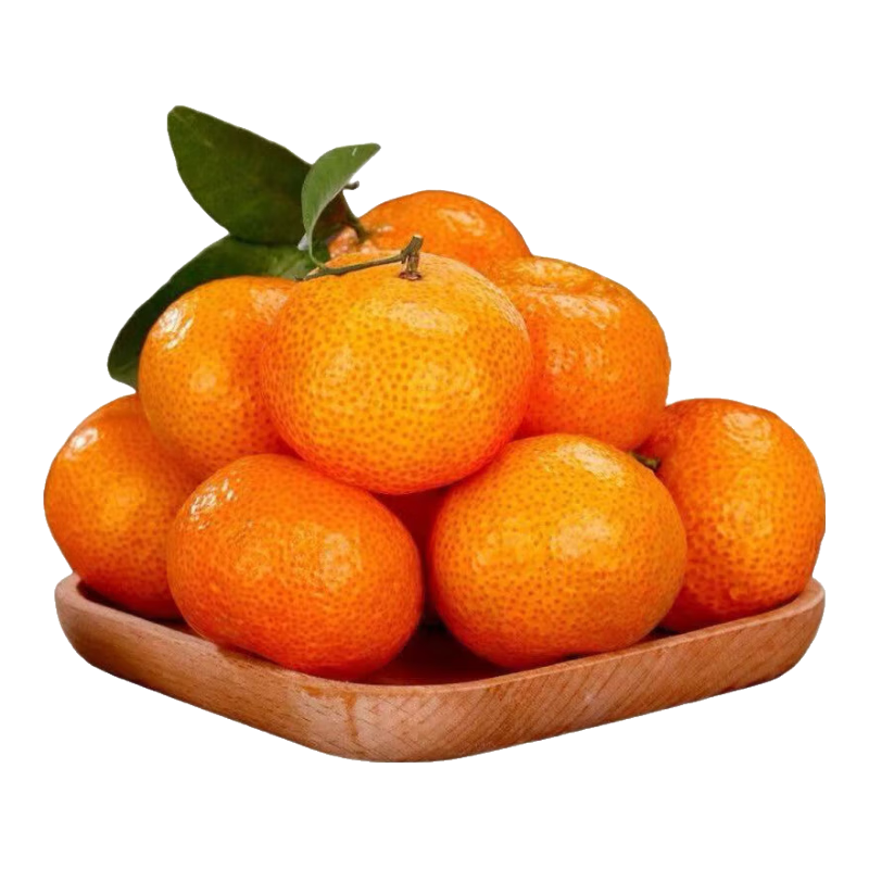 ɳǽ ֭С۽Ӧˮ 10װ