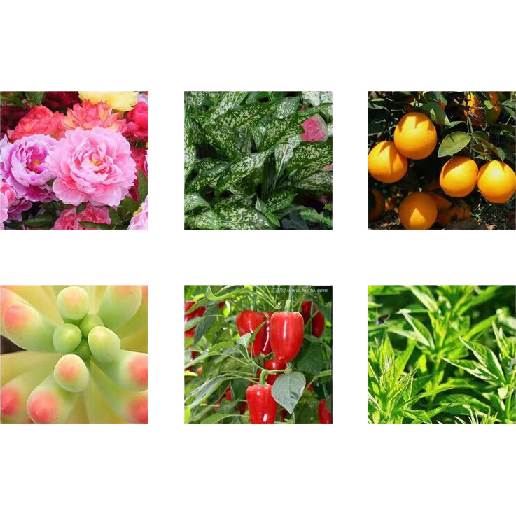 ��ǿũҵ��������ֳ��ͨ������ר��Ӫ����������ϲ�Ứ���������� ���췢�����븯ֳ�� ������10�����20%��Ҷ���롿