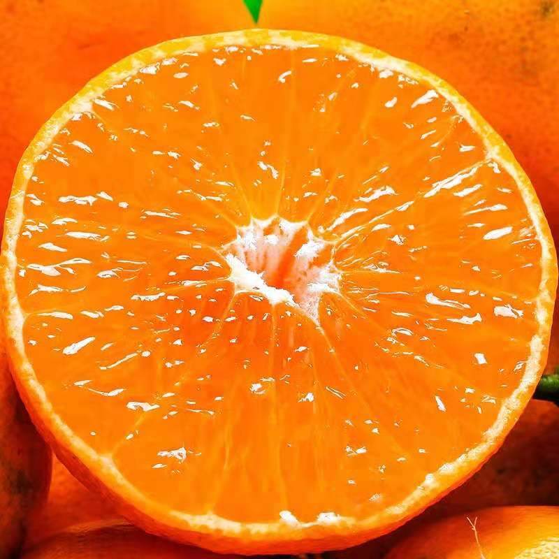 正宗广西武鸣沃柑蜜橘柑橘桔子橘子新鲜水果当季整箱源头直发 净重8.8-9斤小果【60-65mm】