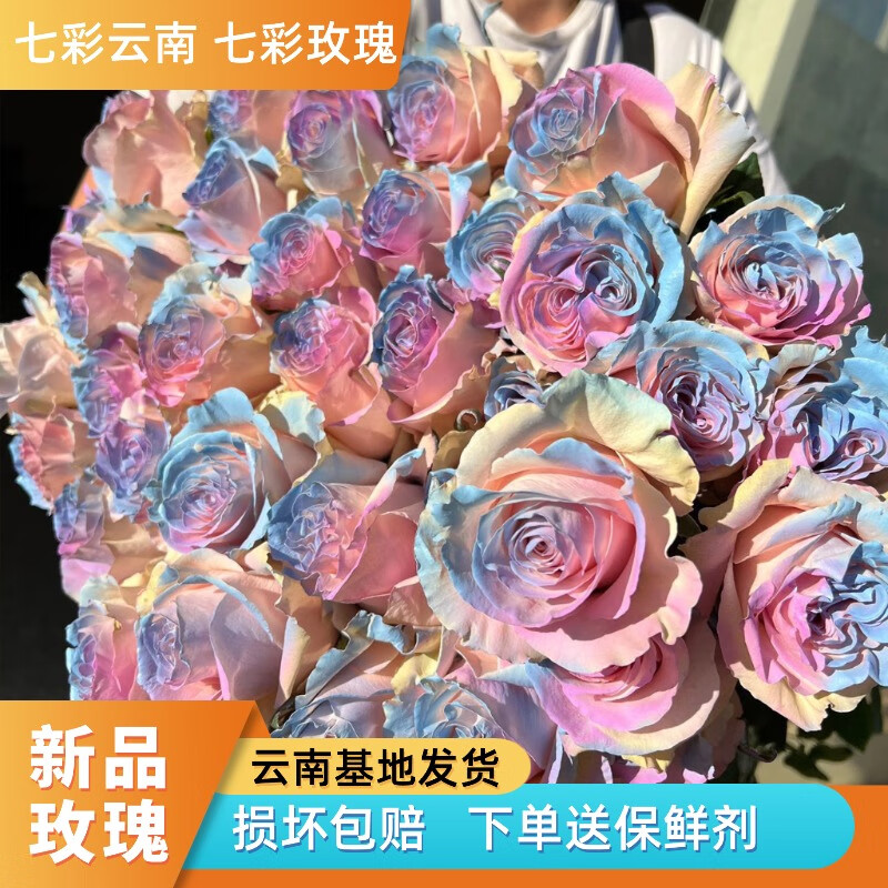 花间町10枝七夕情人节云南直发七彩玫瑰鲜切花材束求婚生日礼物源头直发