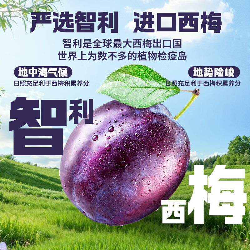 味滋源西梅果干袋装风干西梅干蜜饯果脯酸甜西梅果脯果干休闲零食品特产 西梅500g/袋*1