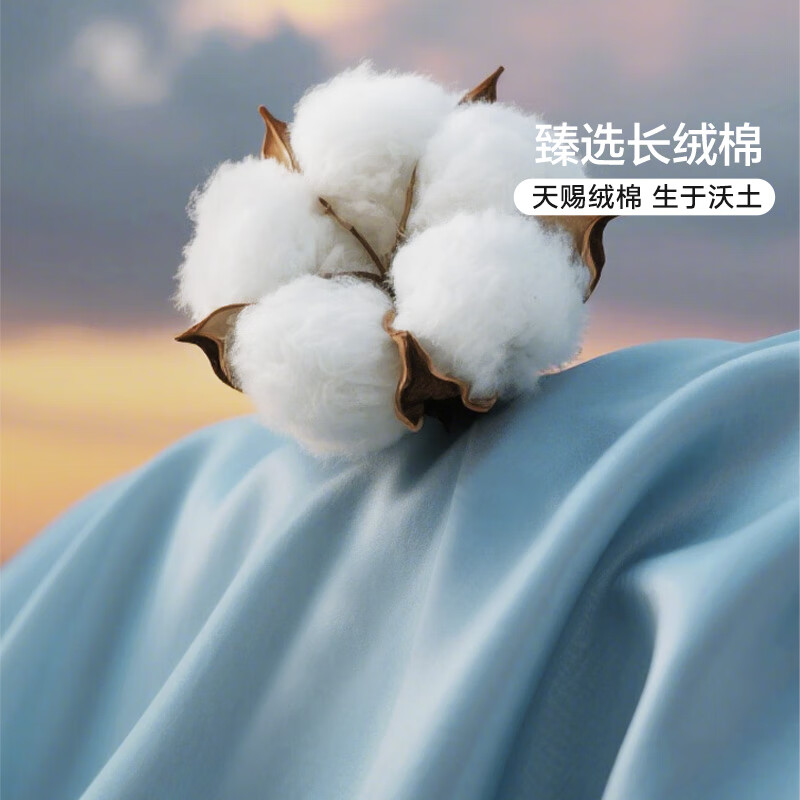 馨而乐(Bravo)富安娜出品四件套100支长绒棉贡缎高级轻奢夏季床上用品230*229cm