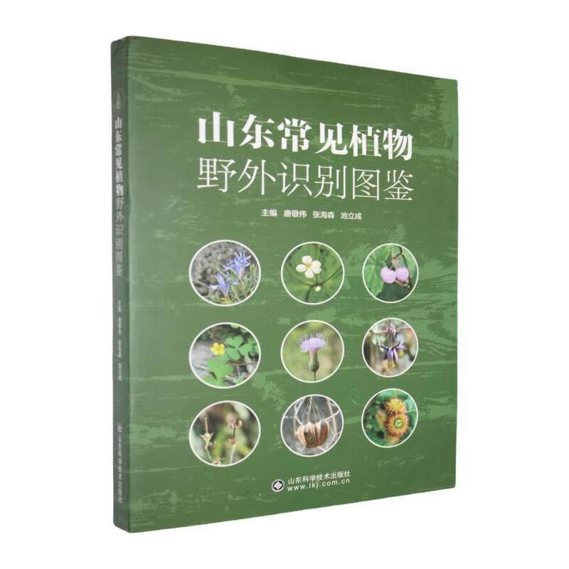 山东常见植物野外识别图鉴唐敬伟山东科学技术出版社9787572327025 科学与自然书籍