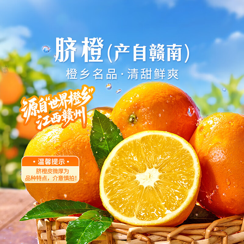 东方甄选脐橙产自赣南橙子香甜多汁新鲜应季水果坏果包赔过年年货 【5斤大果】单果240g+约 8-12个