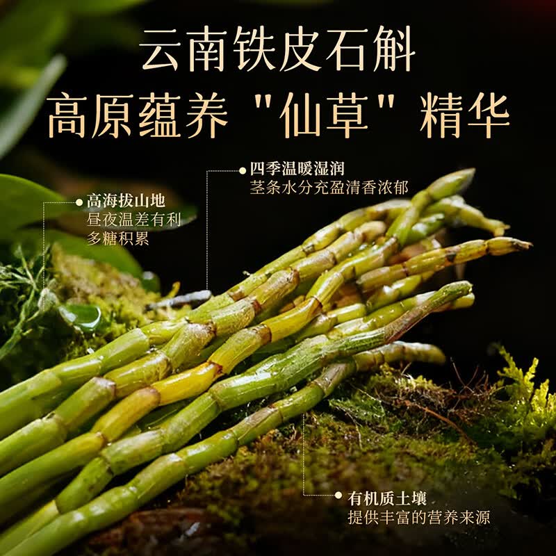 雷允上【官方】珍礼礼盒西洋参石斛羊肚菌陈皮送父母长辈礼物年货节礼盒 160克组合干货礼盒