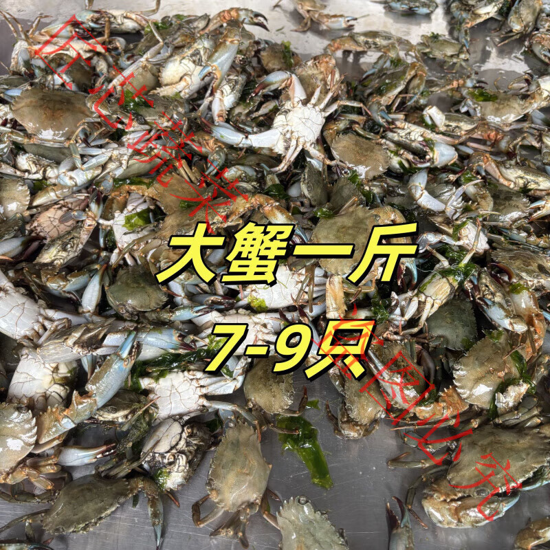 新鲜石头蟹鲜活冻石蟹螃蟹活冻发货海蟹野生海蟹冷冻顺丰大蟹海鲜 2斤 全公大蟹 1份