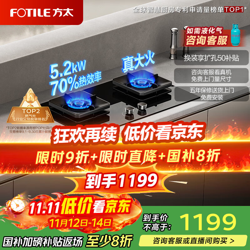 方太燃气灶TF29B燃气灶炉双灶家用嵌入式猛火一级能效70%热效率可调节底盘灶具 天然气/液化气可选 70%热效率天然气 可调节猛火新款灶具
