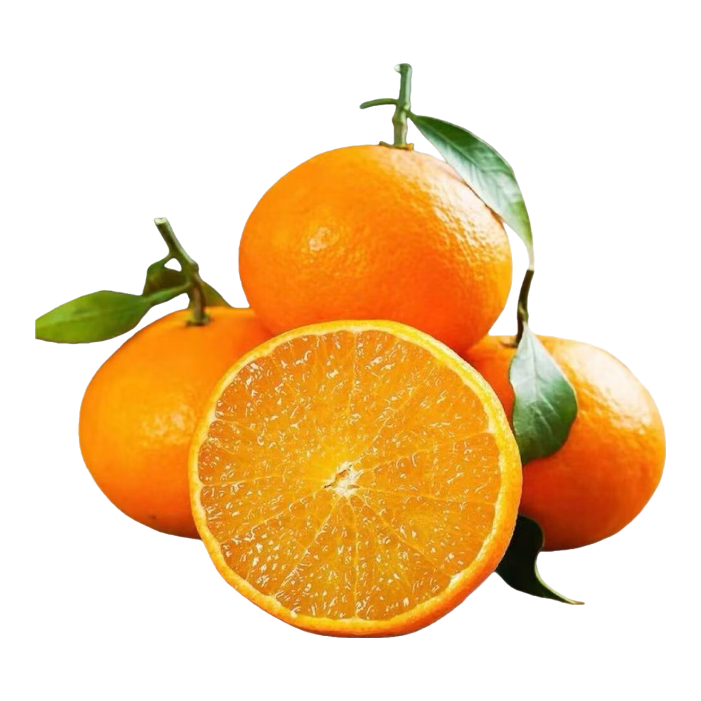 ���ڲ�֪����� ����5�� 10.19Ԫ