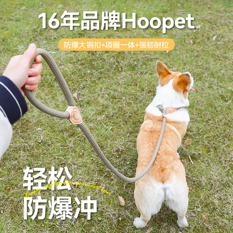 华元宠具（hoopet）狗狗牵引绳子防爆冲P绳链子胸背带中小型大型犬柯基防挣脱溜遛狗