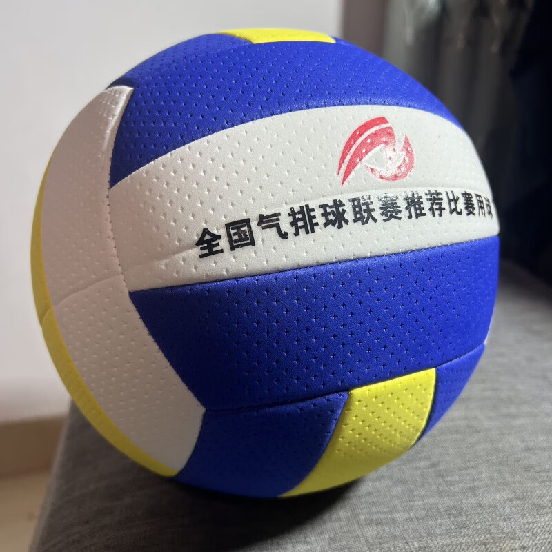 誉静排球软式排球比赛轻成人训练中老年中小学生轻软大学生气排球 5号