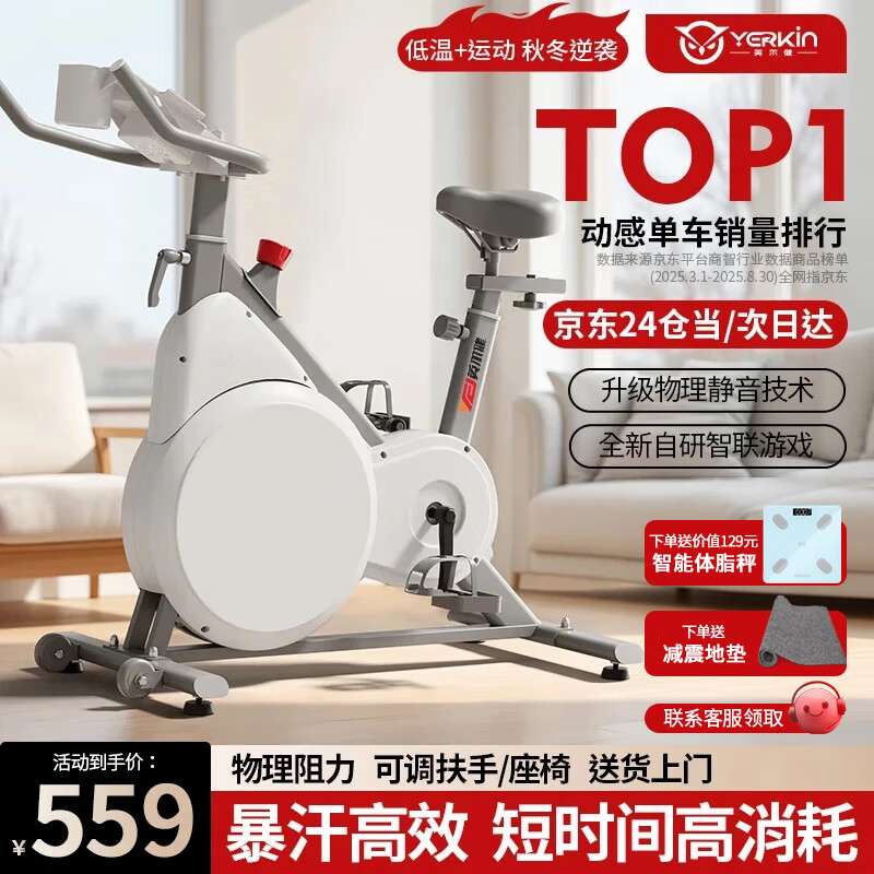 英尔健家用动感单车智能磁控静音运动减肥健身器材室内脚踏车健身单车 [标准款]物理阻力/竞赛游戏/踏频监测/13斤全包飞轮组