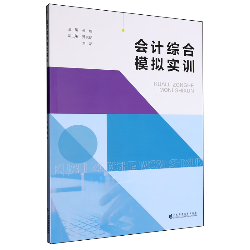 新华正版 会计综合模拟实训 会计、审计