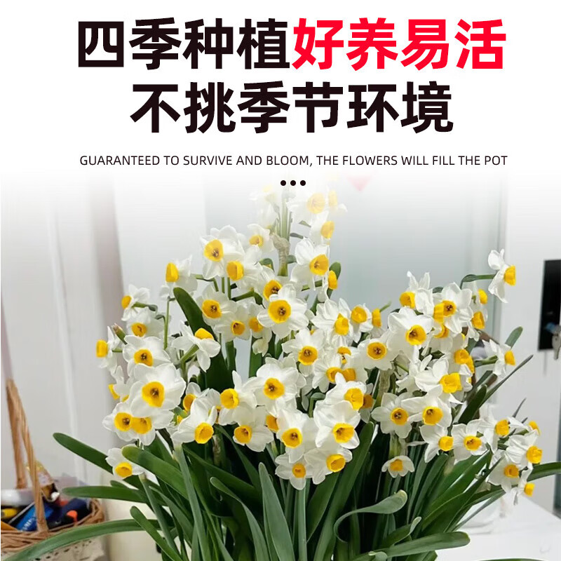 ˮɻ ˮ3/ܳ16-18+׳ӪҺ 7.9Ԫ