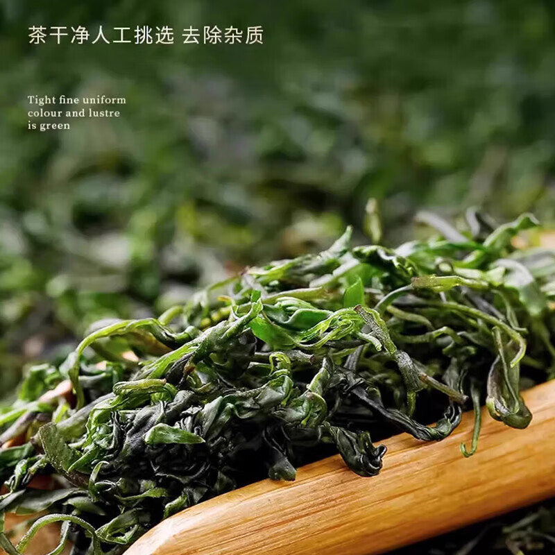 朕皇同仁堂小叶苦丁茶特级新茶有什么作用和功效降i血糖血压血脂清肝 【1盒体验装】70克/盒