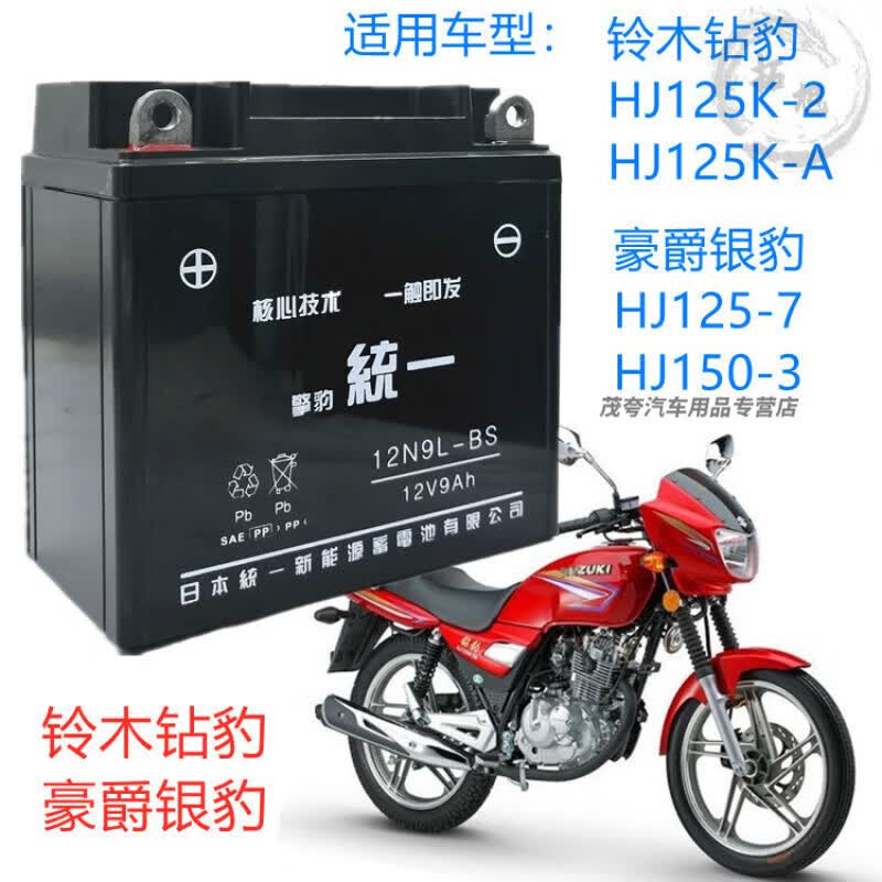 适用豪爵铃木钻豹银豹GS125摩托车擎豹统一免维护电池12V9A干电瓶 适用豪爵铃木钻豹银豹GS125摩托