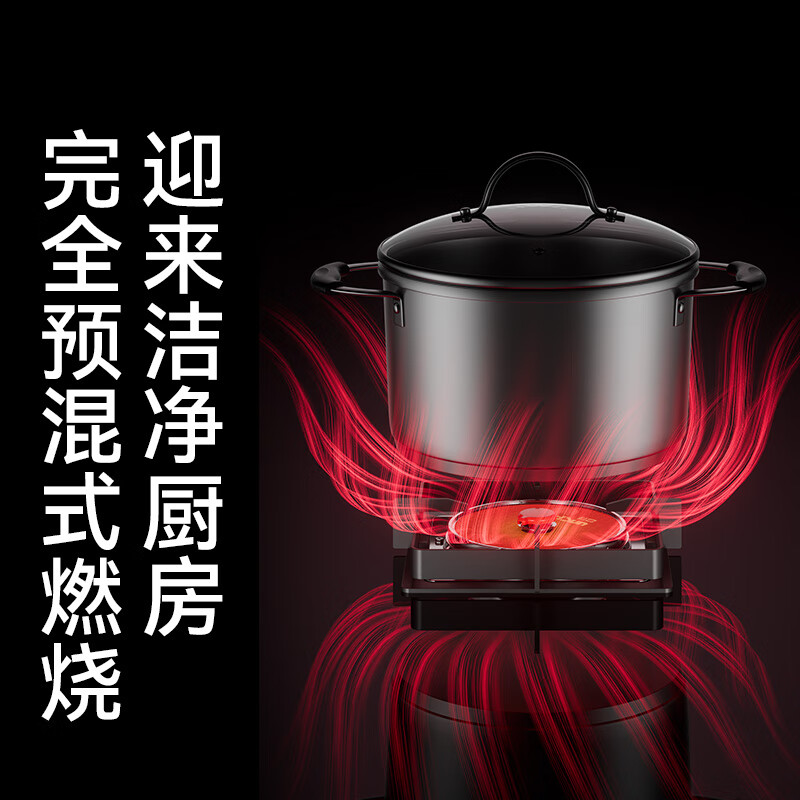 红日(RedSun)H1/H3小底壳免改孔家用独立记忆定时72%高热效率猛火聚能红外线灶具 72%高热效率独立记忆任意定时红外灶H3S 天然气