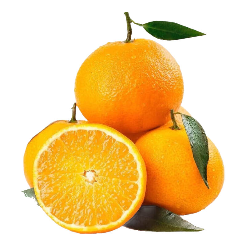 �Ĵ�����38�Ź��������ʳ���Ӧ��ˮ���ְ���������������ʳ��� ����1��65mm+ 3.9Ԫ