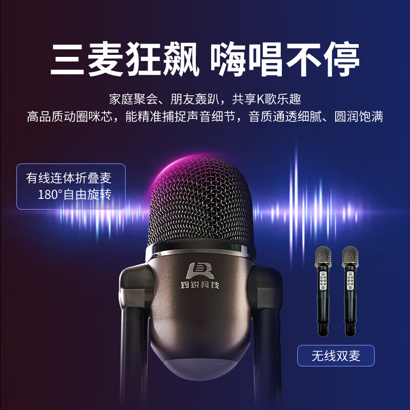 铃锐科技玲锐2101-D10蓝牙音箱户外便携K歌音响大音量高保真家庭影院功放一体机家庭娱乐KTV适用吉他萨克斯 木纹金(折叠麦+无线麦克风*2)