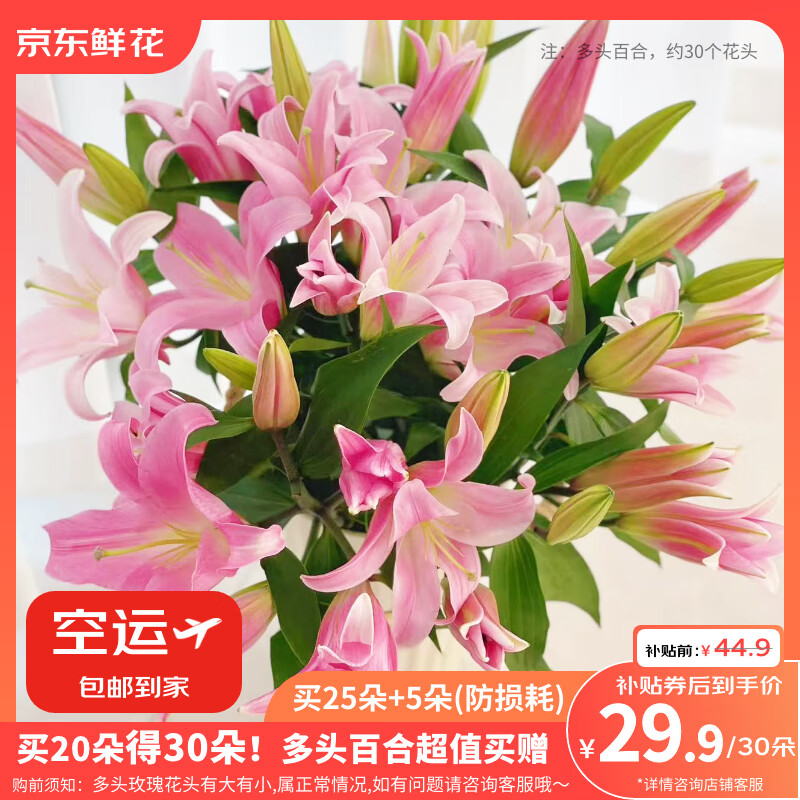 京东鲜花香水百合20朵送10朵共30朵随机色鲜切花圣诞节元旦节送礼源头直发