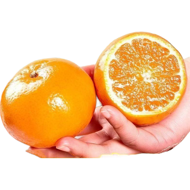 ������ũ��ר���������ָ����ʲ�ժ��ժ�ַ���֭�� �ָ�1��װ 5.9Ԫ