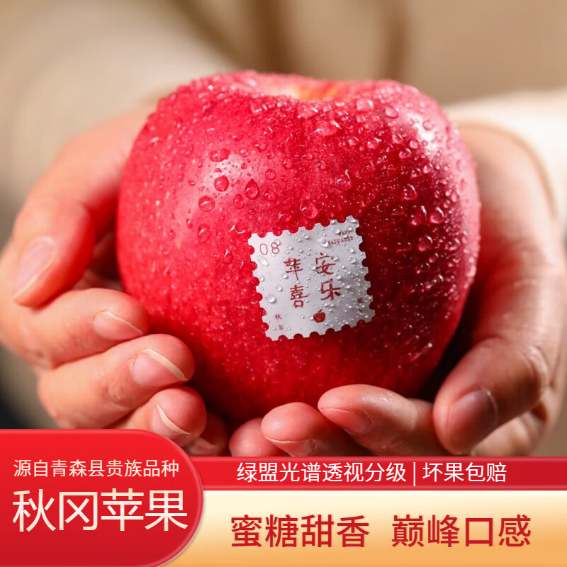 洛川高原秋冈苹果EV 花蜜甜香品种来自"世界第一"+"昂林"年货礼盒 严选中大果【4.5斤家庭分享装】9-12 枚 | 顺丰锁鲜