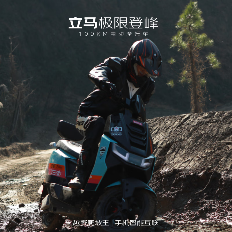 立马电动摩托车【CCTV大国品牌】极限登峰高速续航109KM超强劲电机72V38Ah铅酸电池智能电动车 浅塔灰