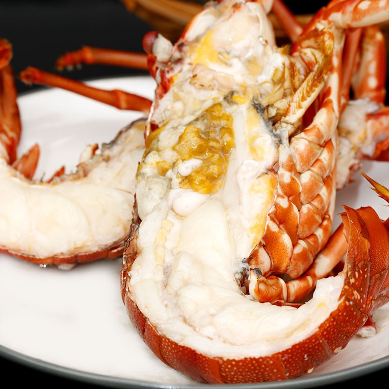 海鲜颂澳洲龙虾
