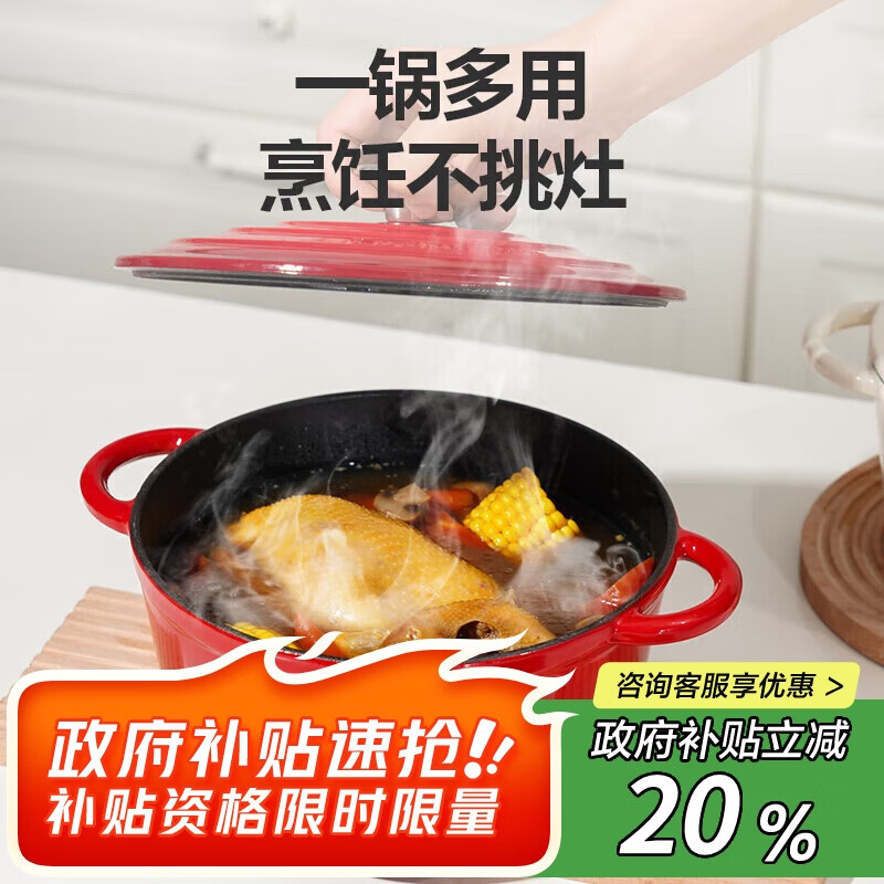 乐扣乐扣（LOCK&amp;LOCK）珐琅铸铁锅双耳汤锅炖锅奶锅煮锅煮面煲汤电磁炉煤气灶红色24cm