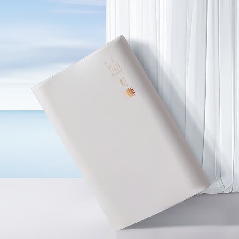 夢(mèng)潔家紡家紡記憶枕頭枕芯家用成人護(hù)頸椎深睡枕通用單人助睡眠新品 記憶枕【A類(lèi)品質(zhì)+植萃助眠+慢回彈】東方植物記憶枕 9cm 57x35x_9-11cm