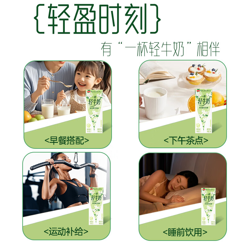 【仅需24.9】金河牛奶 茉莉雪芽风味牛奶200ml*12盒