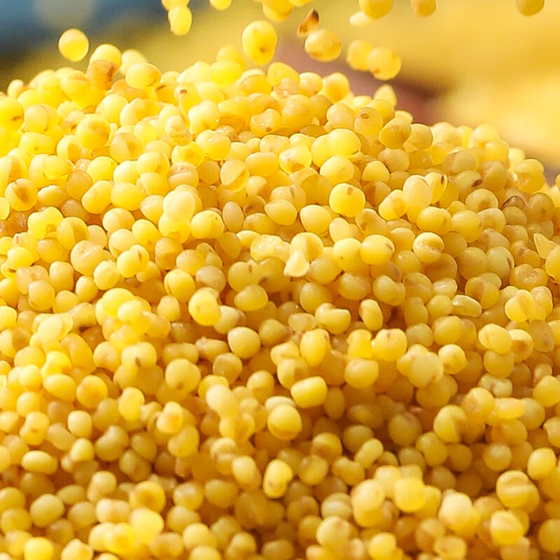 延韵小米黄小米婴幼儿新米正宗陕北米新黄小米婴儿陕西小米杂粮小米 延安油小米2.5kg